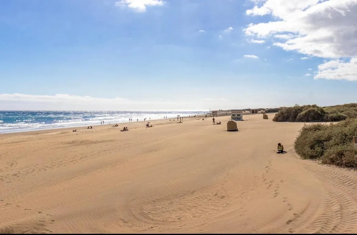Apartment Bungalow Maspalomas San Bartolome de Tirajana  Spain